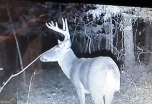 153 Whatley Road Lagrange - 71