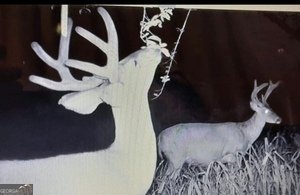 153 Whatley Road Lagrange - 72