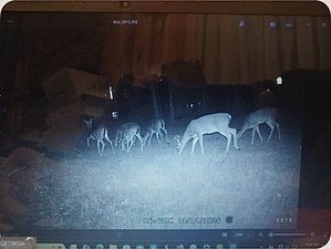 153 Whatley Road Lagrange - 80