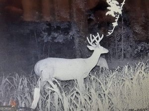 153 Whatley Road Lagrange - 84