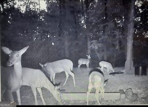 153 Whatley Road Lagrange - 88