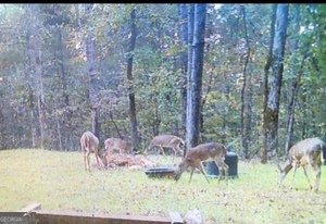 153 Whatley Road Lagrange - 89