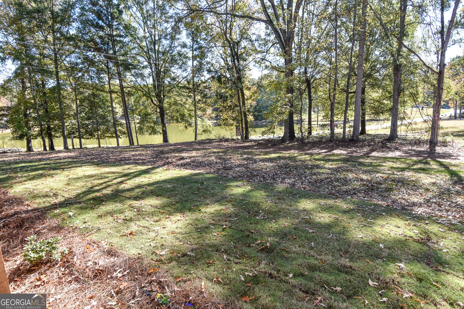 6060 Ga Highway 109 Molena - 55