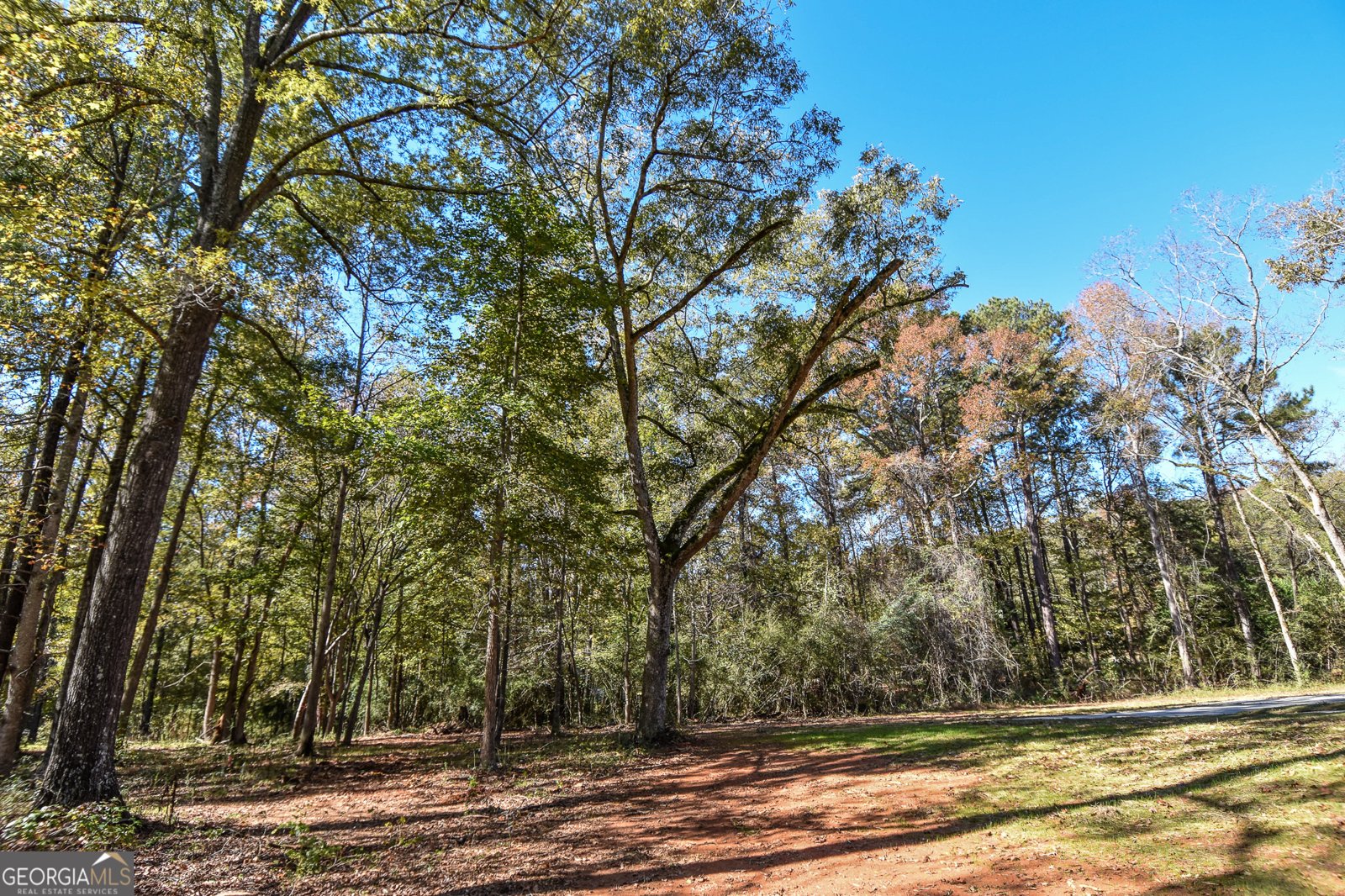 6060 Ga Highway 109 Molena - 62