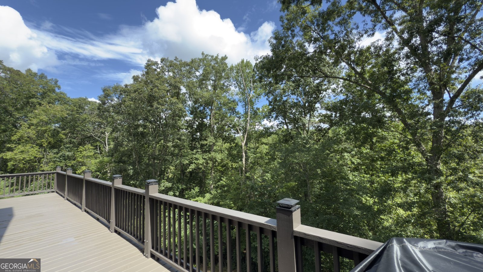 136 Gold Ditch Road Cleveland - 28