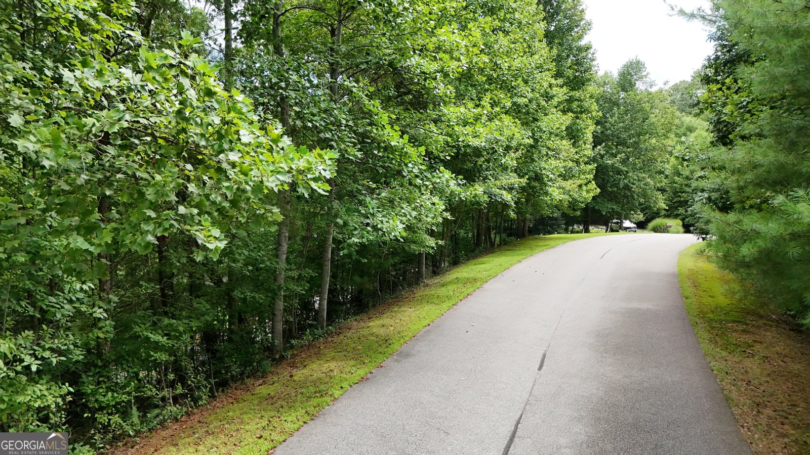 136 Gold Ditch Road Cleveland - 52