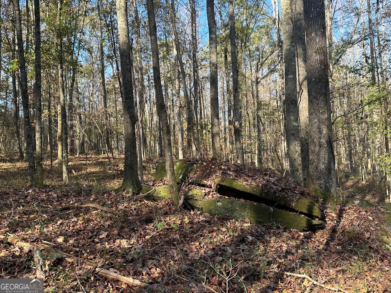 189 & 191 Plantation Drive Newnan - 14