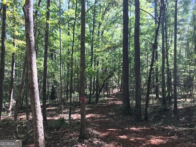 189 & 191 Plantation Drive Newnan - 3