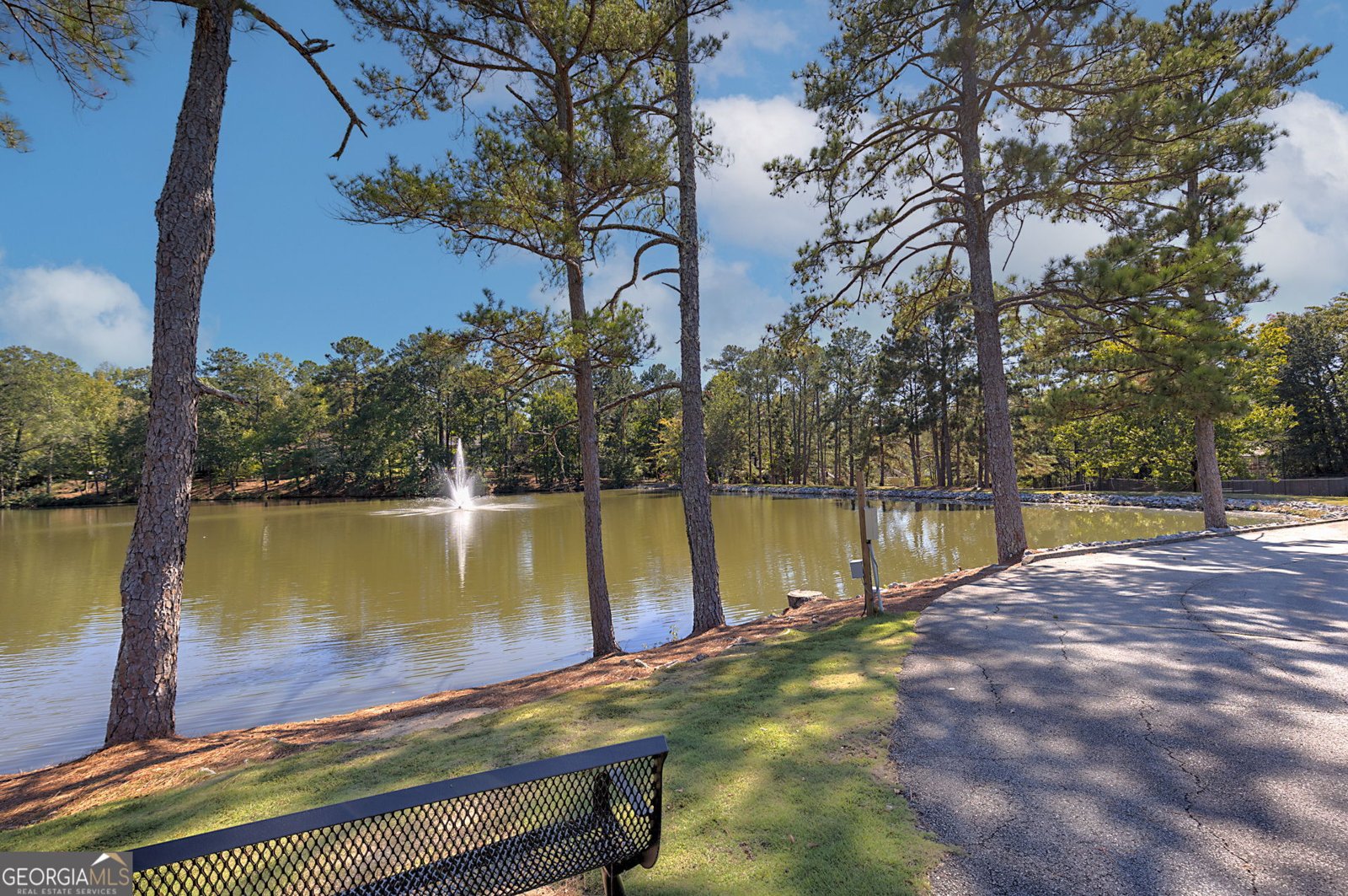 3725 Nutmeg Drive Columbus - 14