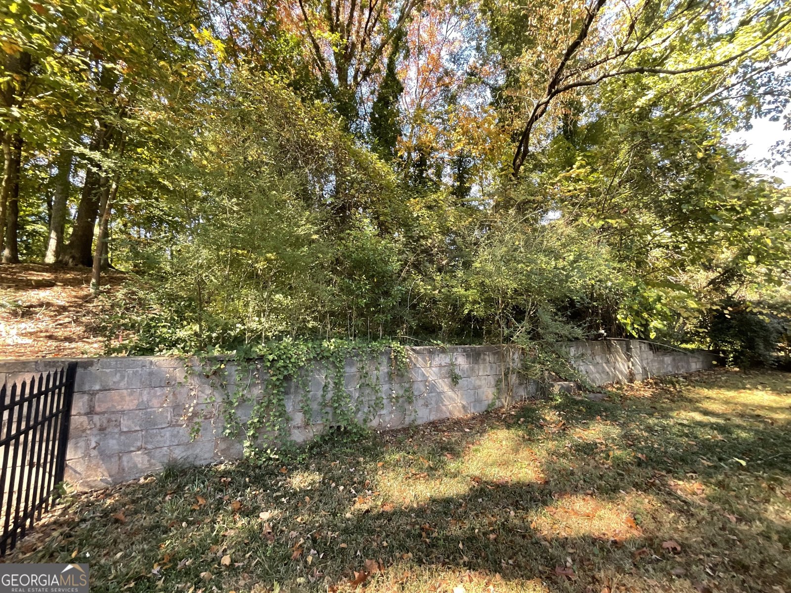 2492 Hunting Valley Drive Decatur - 8