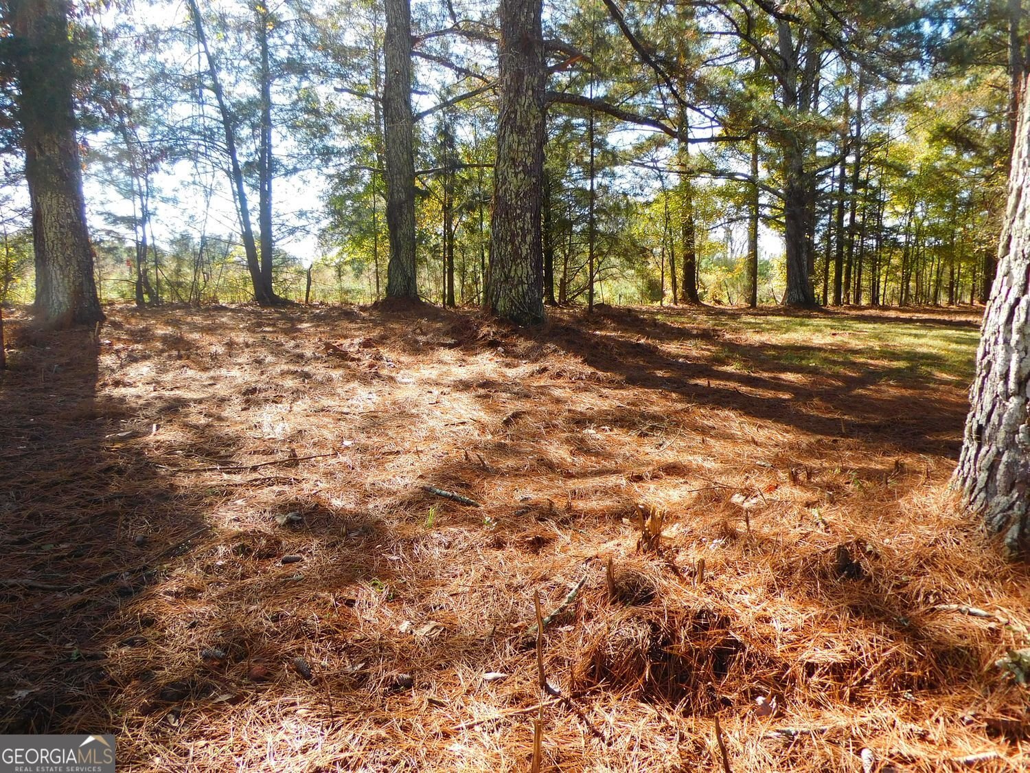 1101 Boswell Road Union Point - 25