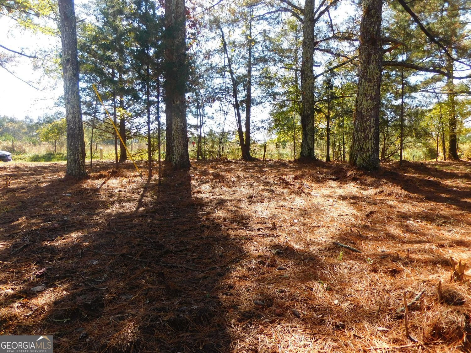 1101 Boswell Road Union Point - 46