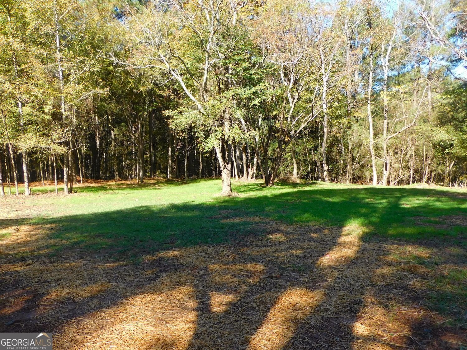 1101 Boswell Road Union Point - 47