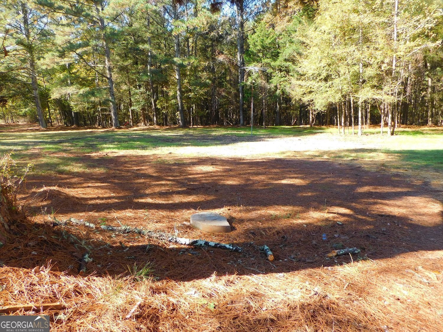 1101 Boswell Road Union Point - 53