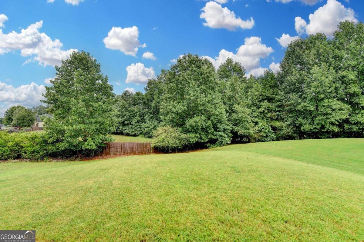 1466 Clarecastle Lane Buford - 21