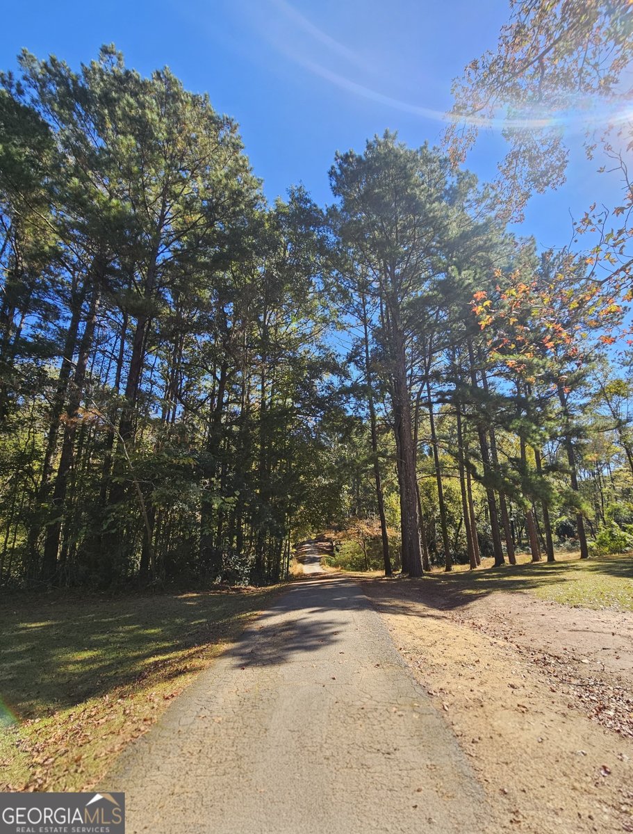 228 Honeysuckle Road Monticello - 3