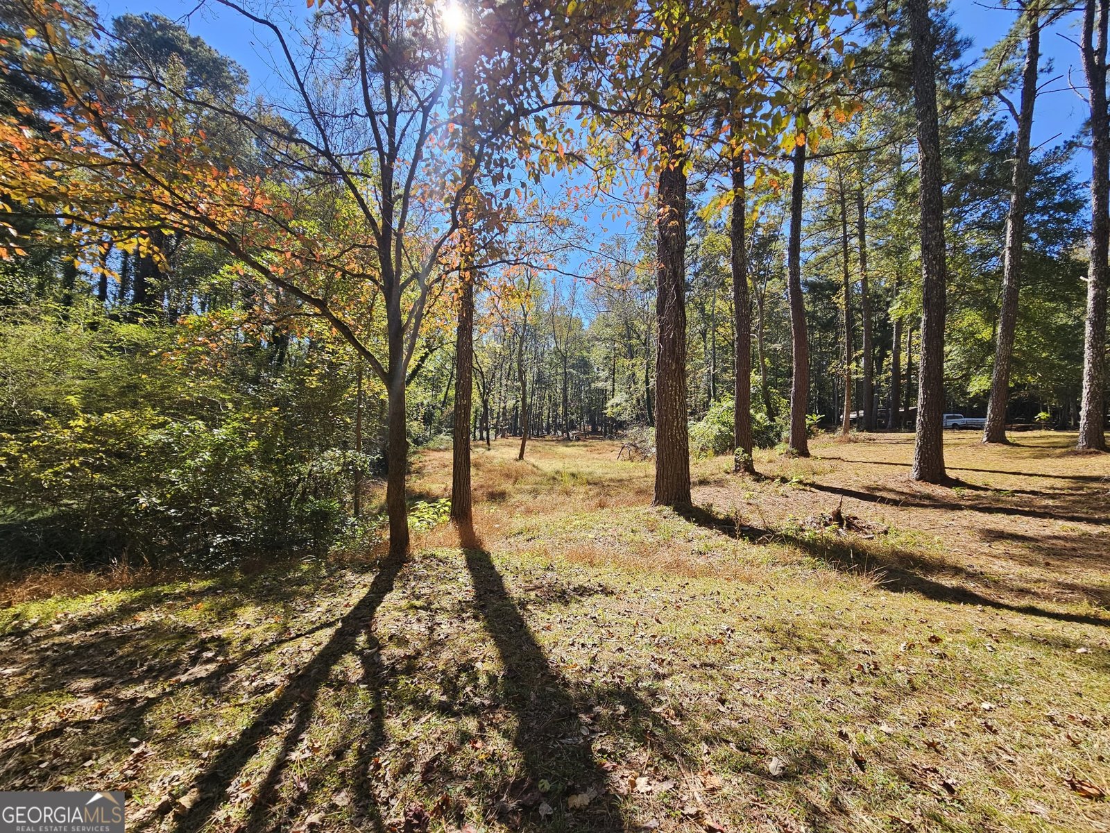 228 Honeysuckle Road Monticello - 6