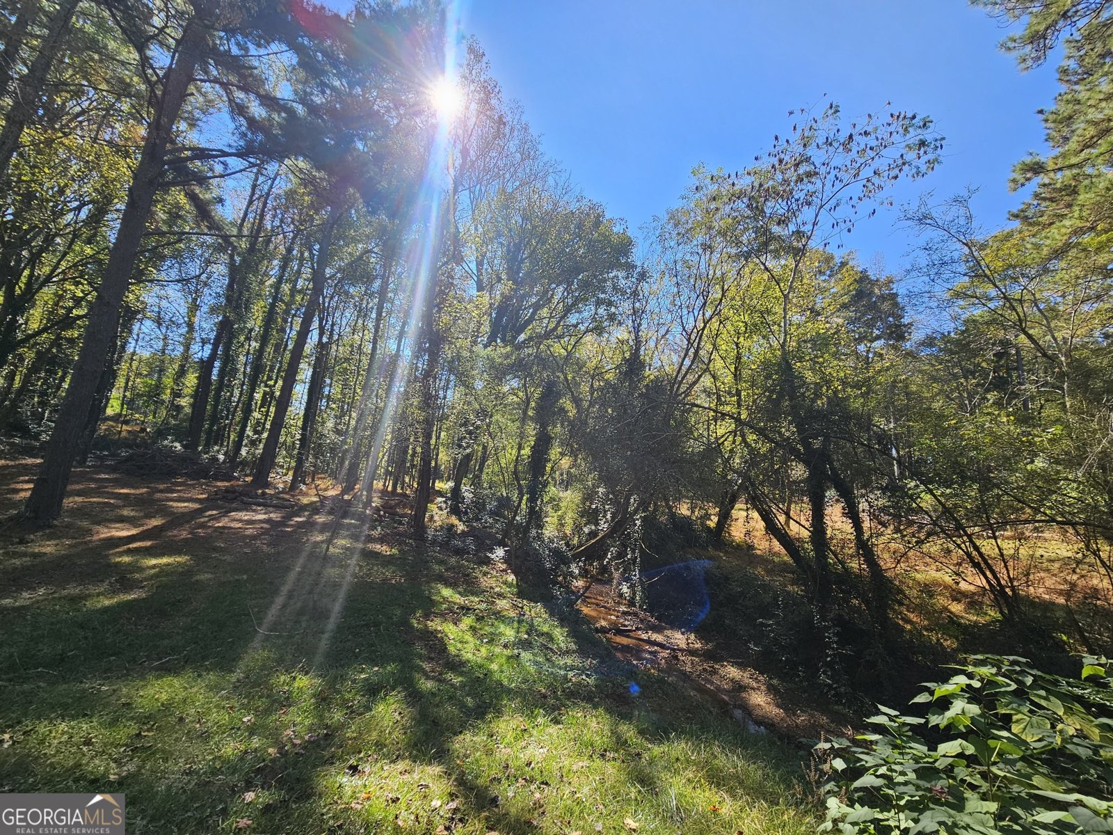 228 Honeysuckle Road Monticello - 7