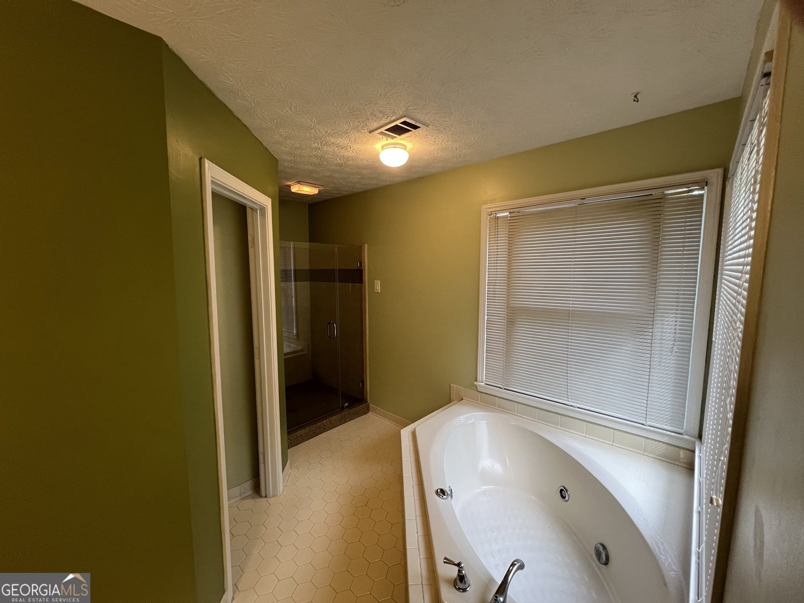 4811 West Lake Drive Conyers - 32