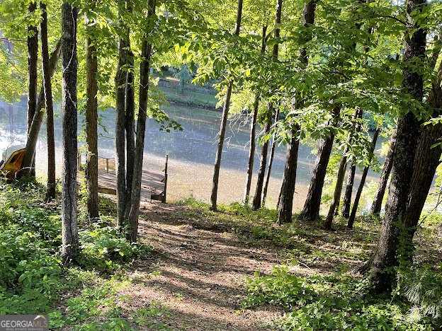 4811 West Lake Drive Conyers - 54