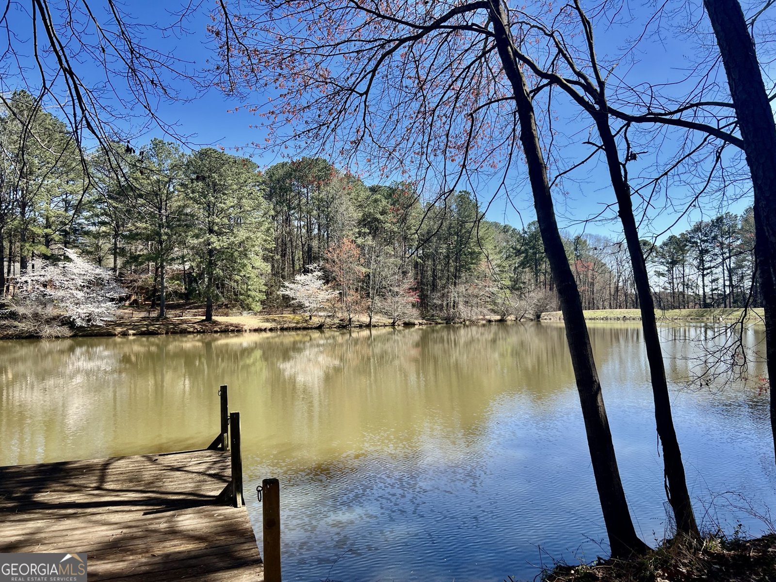 4811 West Lake Drive Conyers - 55