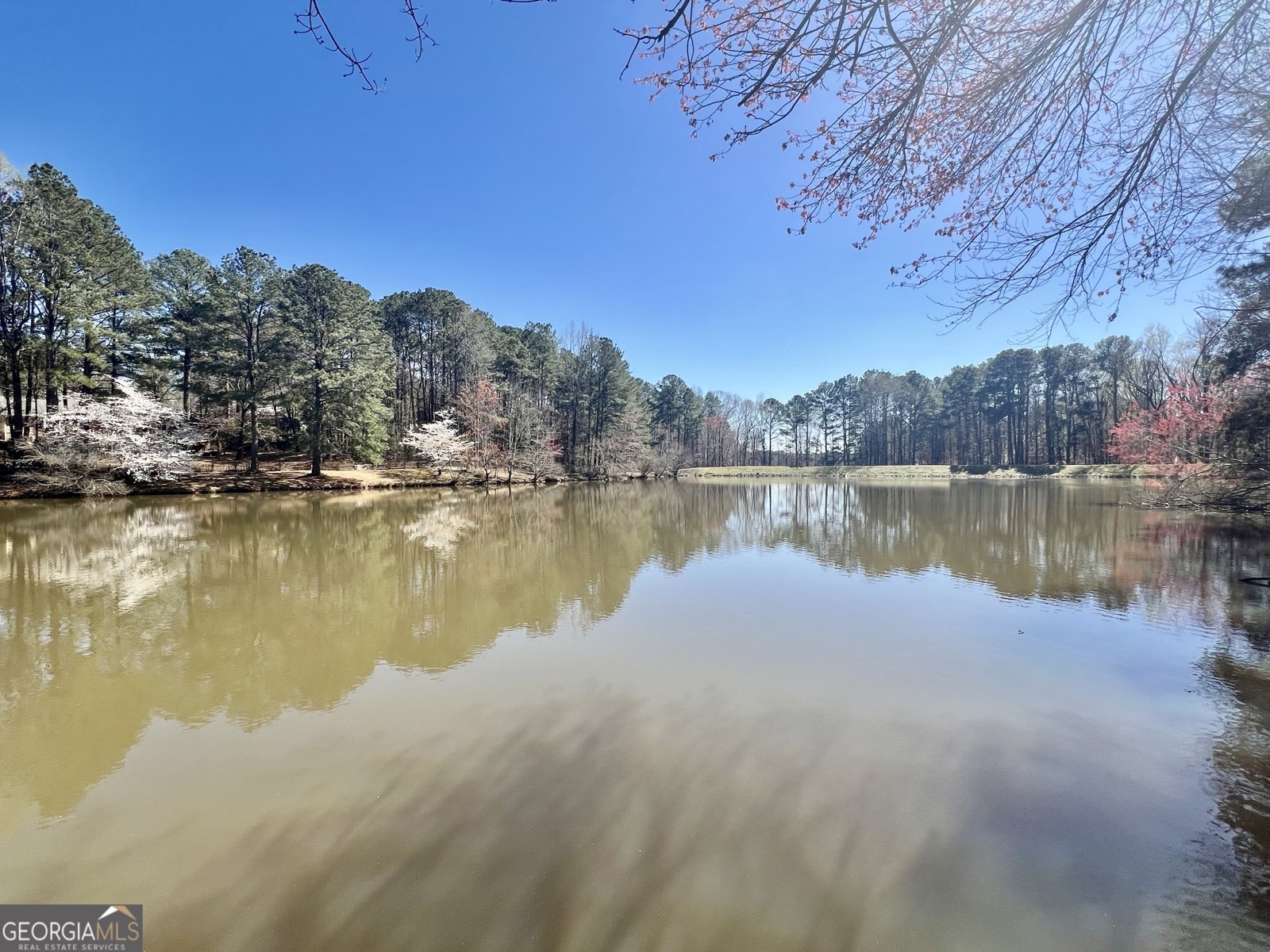 4811 West Lake Drive Conyers - 58