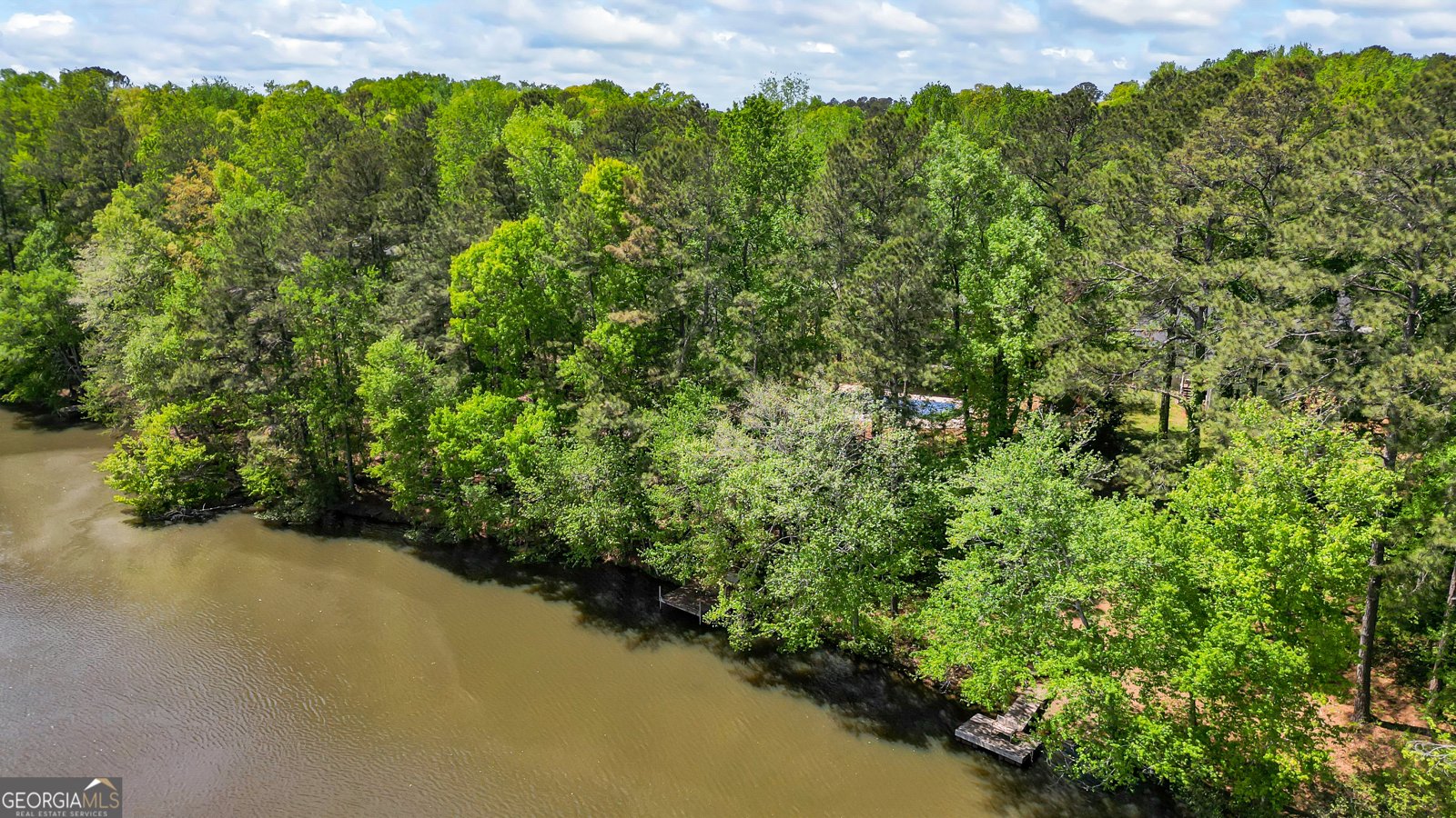 4811 West Lake Drive Conyers - 65