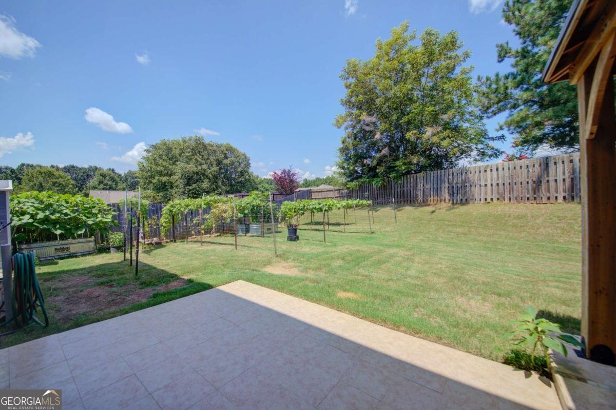 4420 Sunbonnet Road Cumming - 19