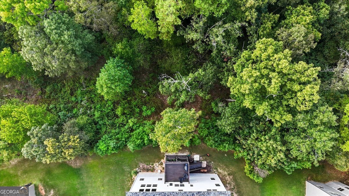 303 Eagle Rock Drive Acworth - 53