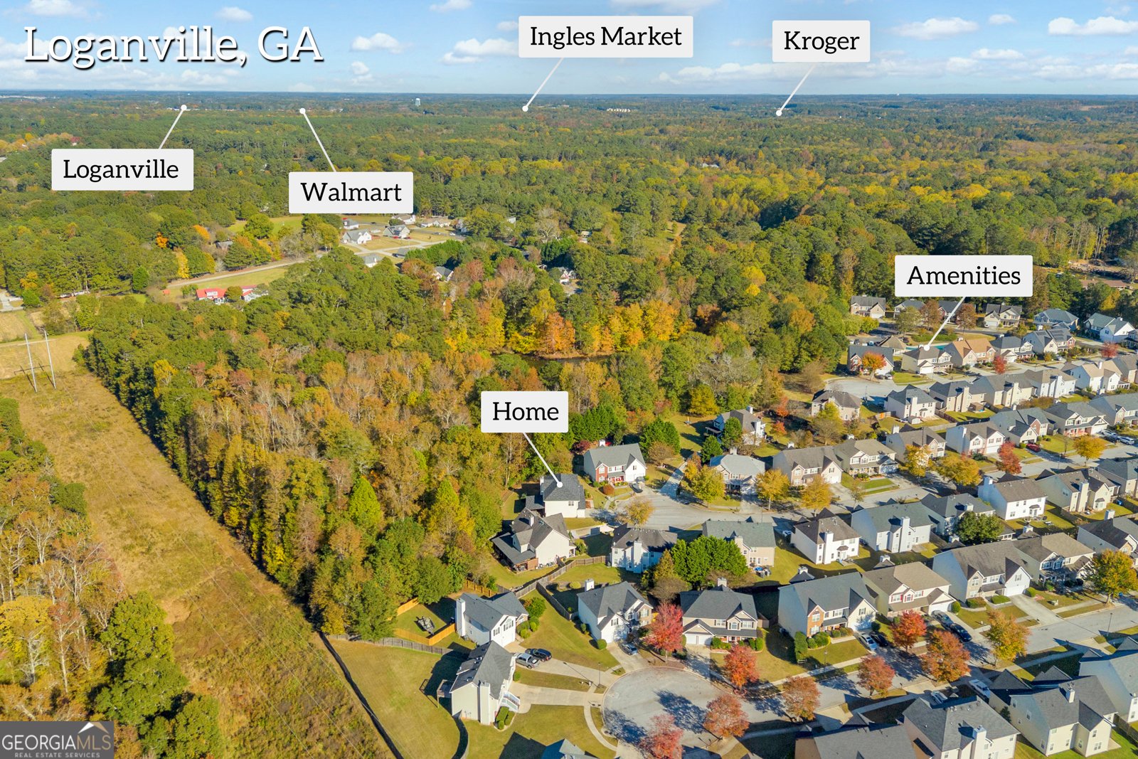 4336 Beaver Pond Court Loganville - 32