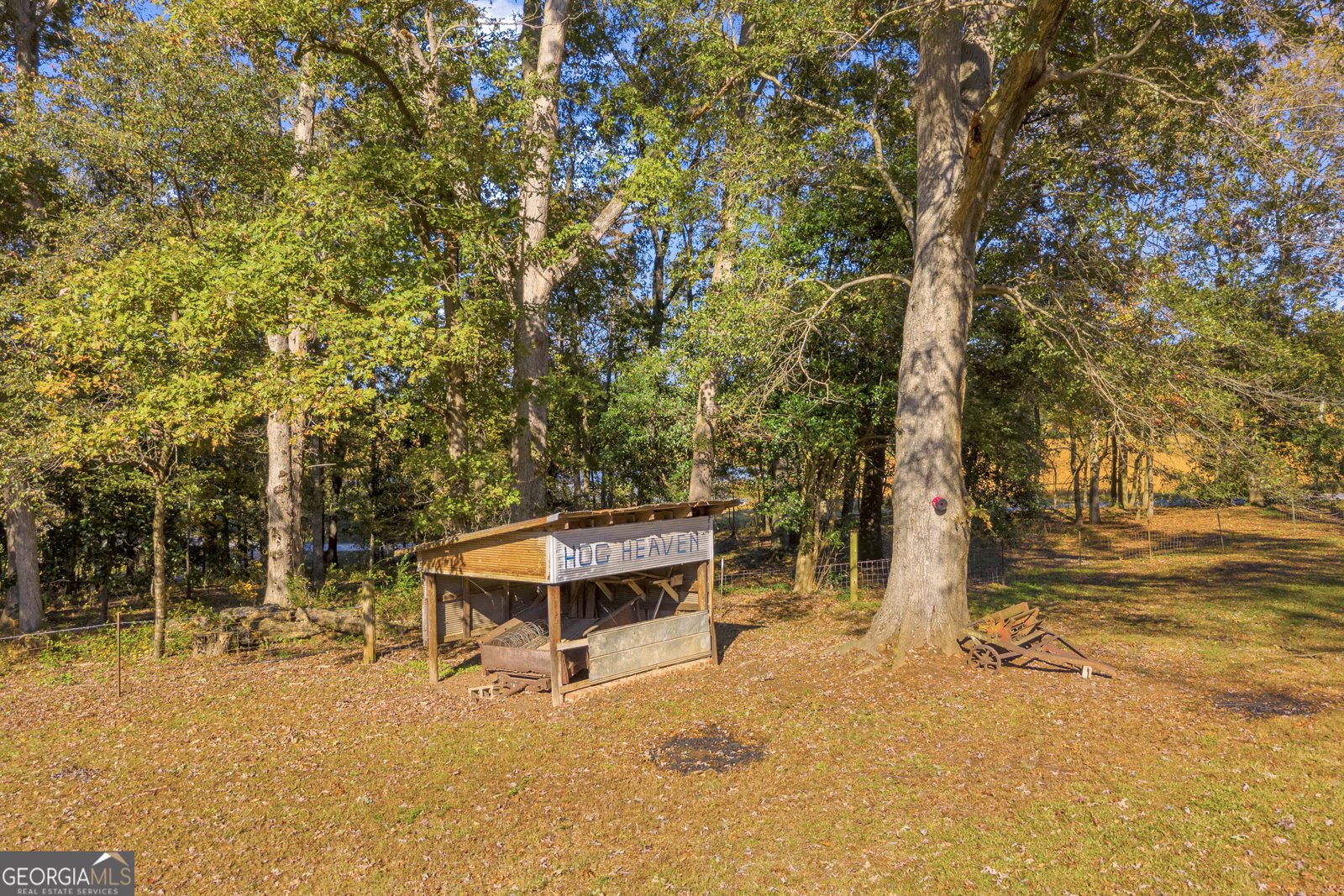 268 Ginn's Pool Rd Royston - 8