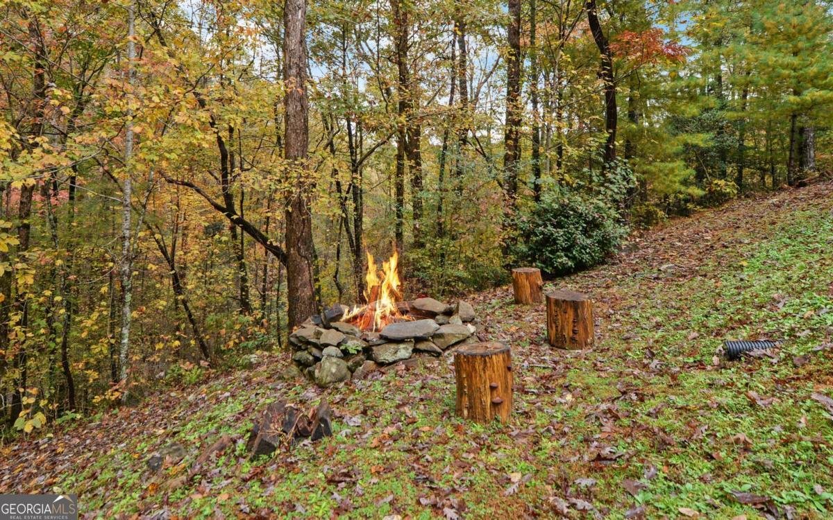 169 Wildwood Court Ellijay - 21