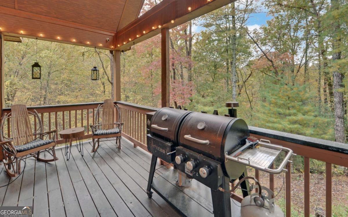 169 Wildwood Court Ellijay - 3
