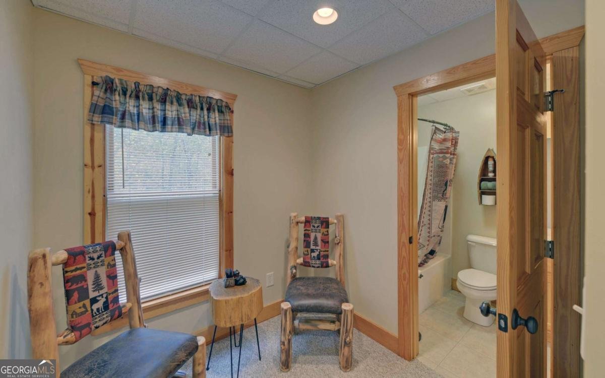 169 Wildwood Court Ellijay - 34