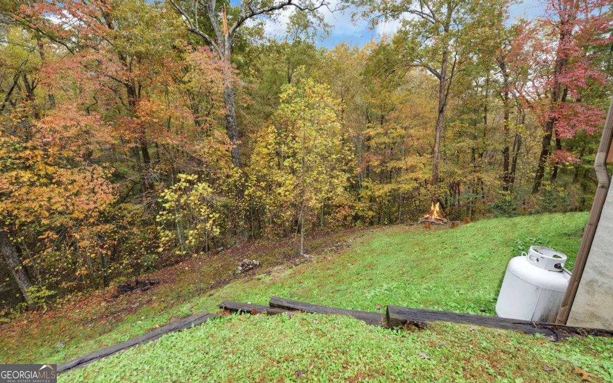 169 Wildwood Court Ellijay - 38
