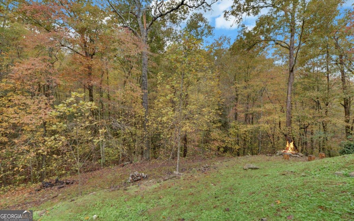 169 Wildwood Court Ellijay - 39