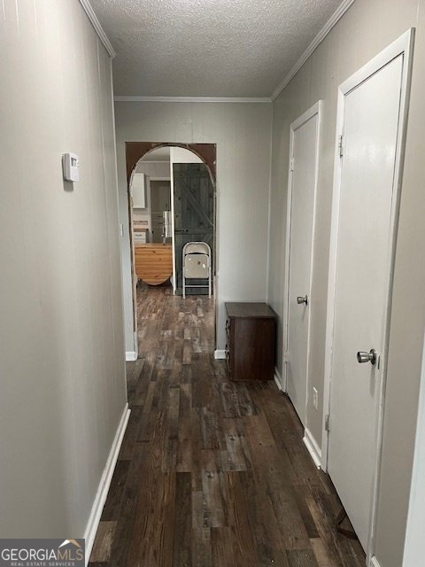 16877 Ga Highway 129 Cobbtown - 24