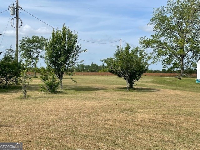 16877 Ga Highway 129 Cobbtown - 38