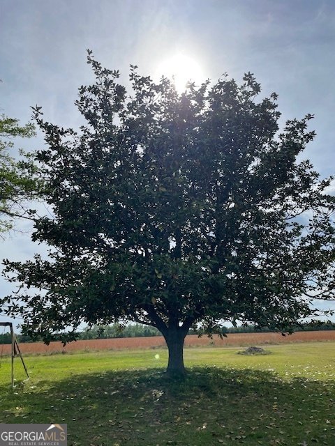 16877 Ga Highway 129 Cobbtown - 39