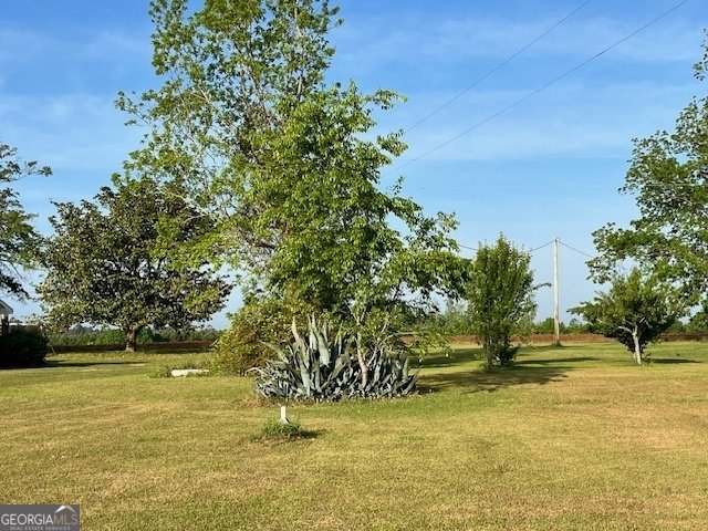 16877 Ga Highway 129 Cobbtown - 41