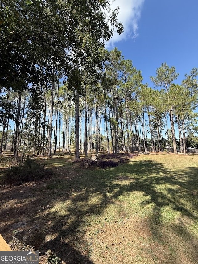 3833 Chris Circle Valdosta - 11