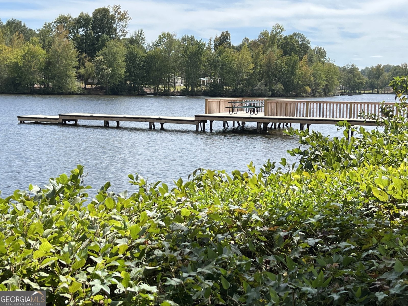 100 Arbor Way Newnan - 30