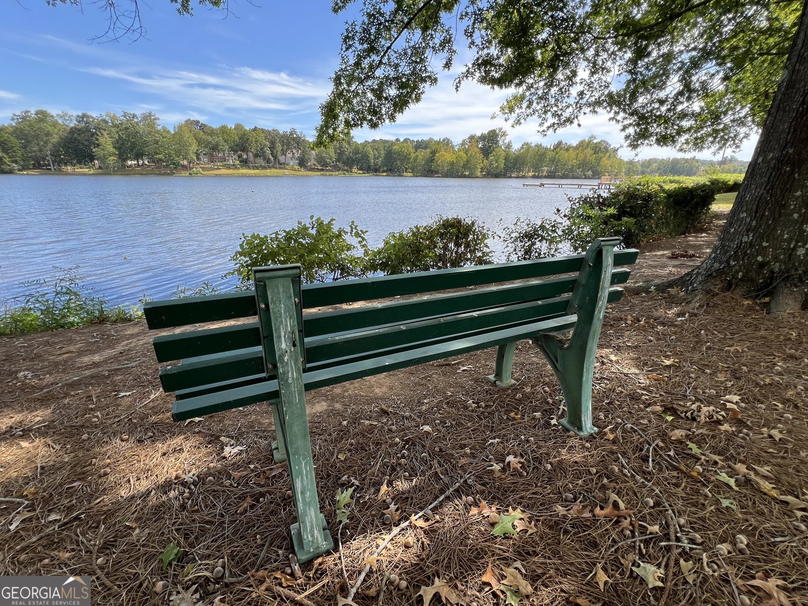 100 Arbor Way Newnan - 74