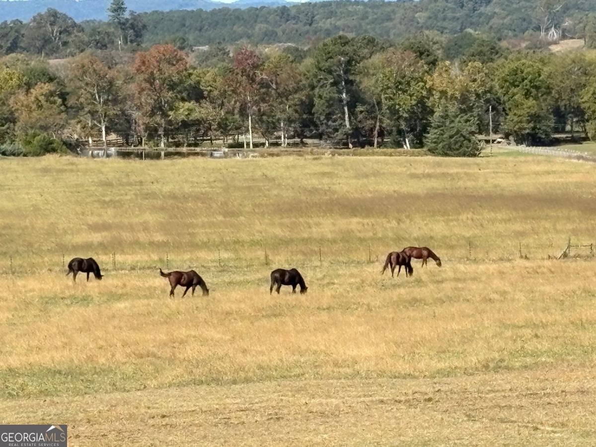 1654 A Ward Mountain Road Rome - 18