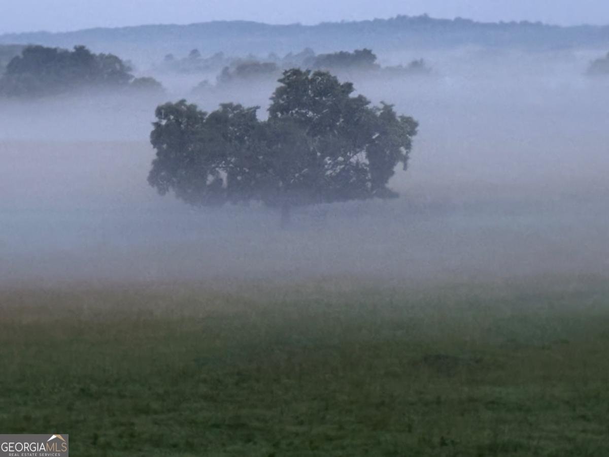 1654 A Ward Mountain Road Rome - 23