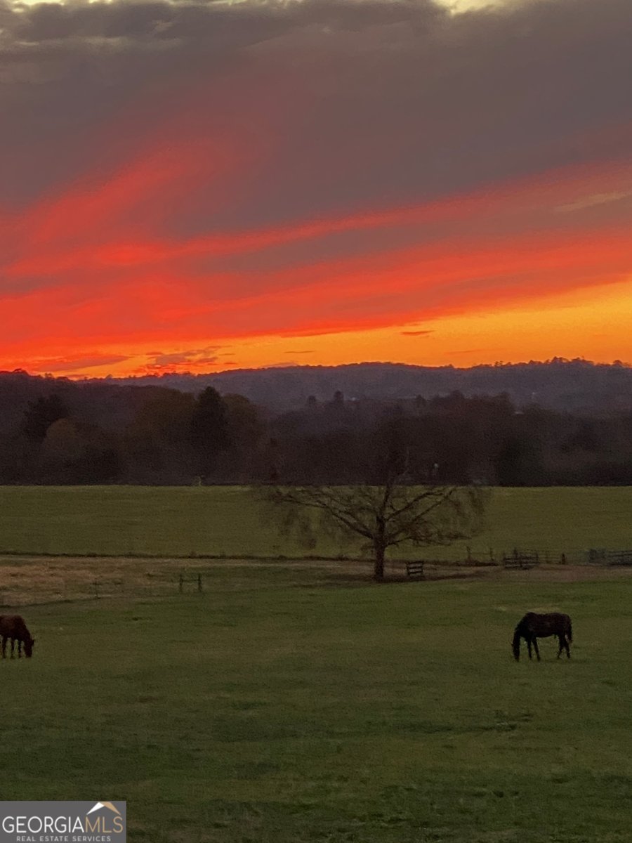 1654 A Ward Mountain Road Rome - 24