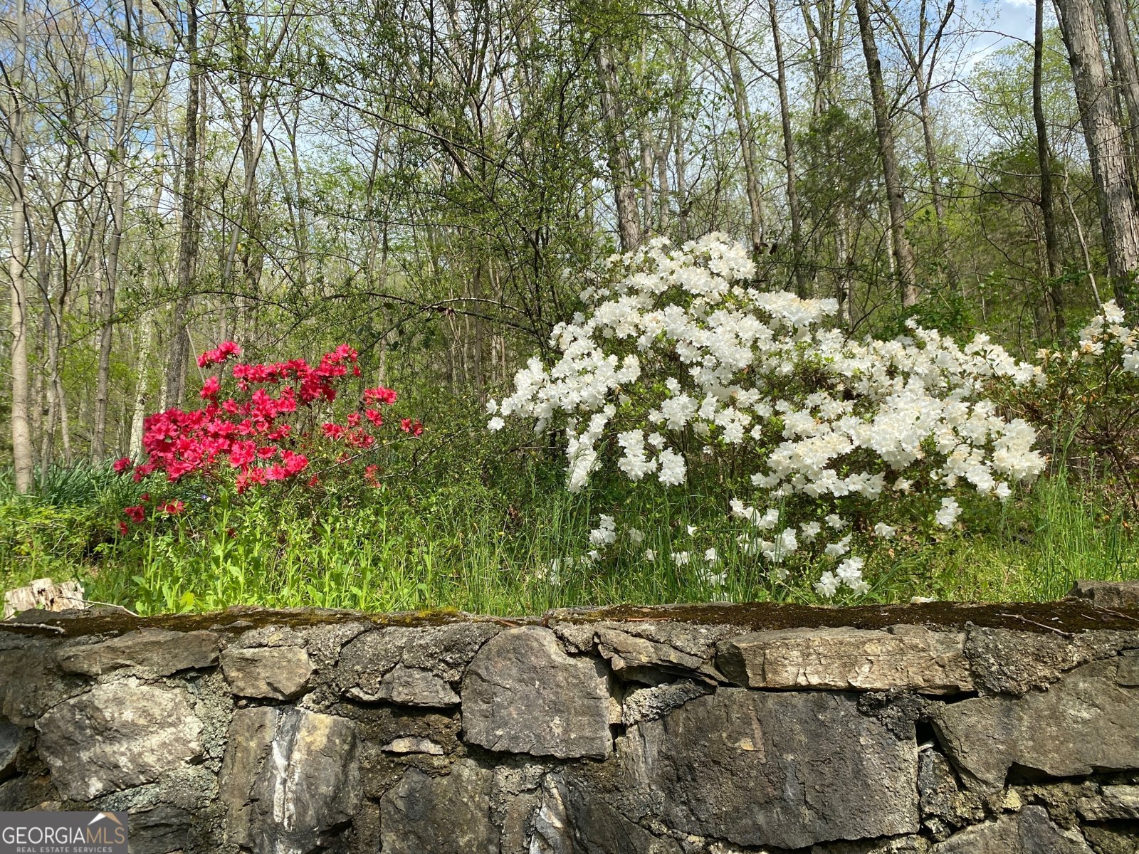 1654 A Ward Mountain Road Rome - 27