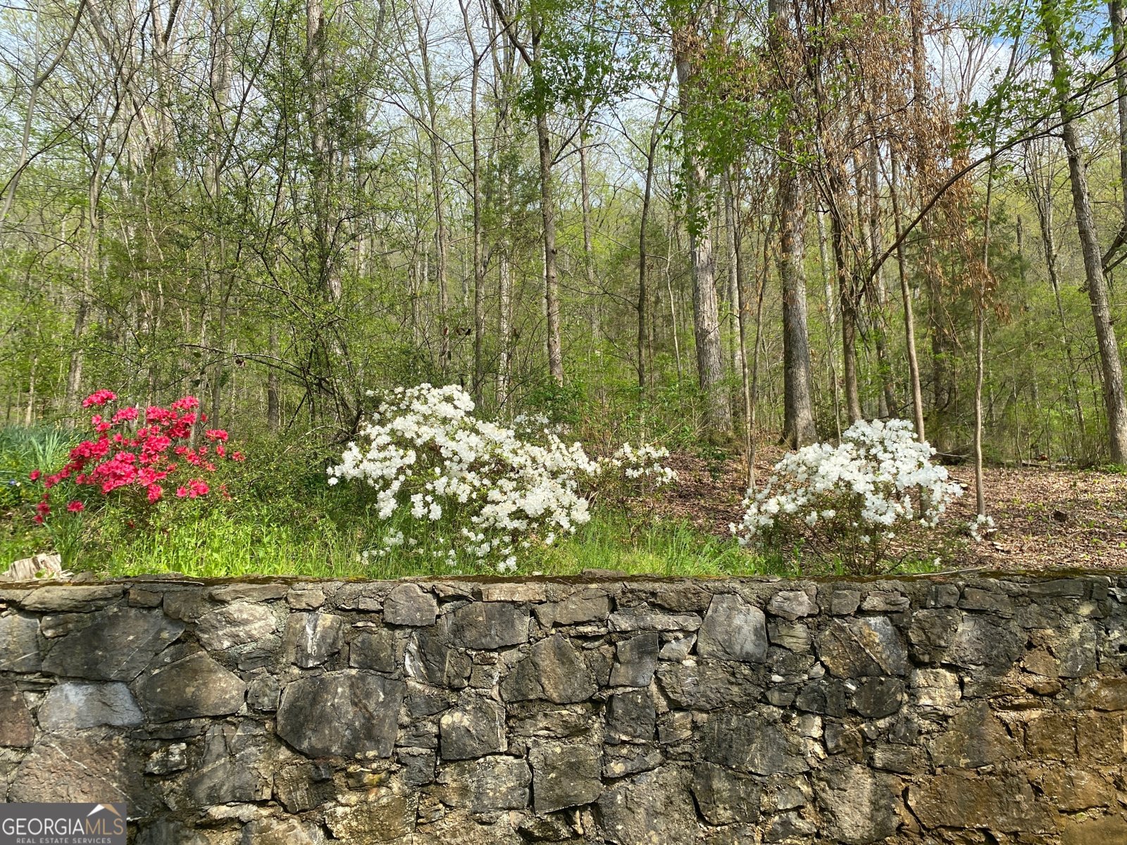 1654 A Ward Mountain Road Rome - 28