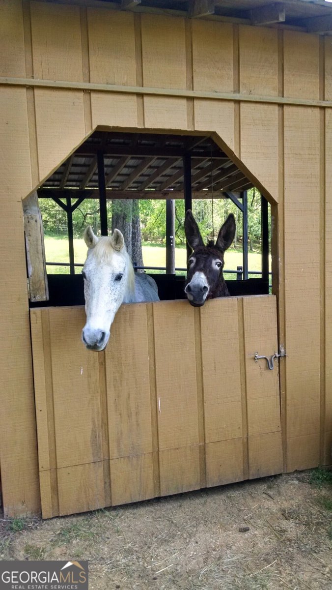 1654 A Ward Mountain Road Rome - 32