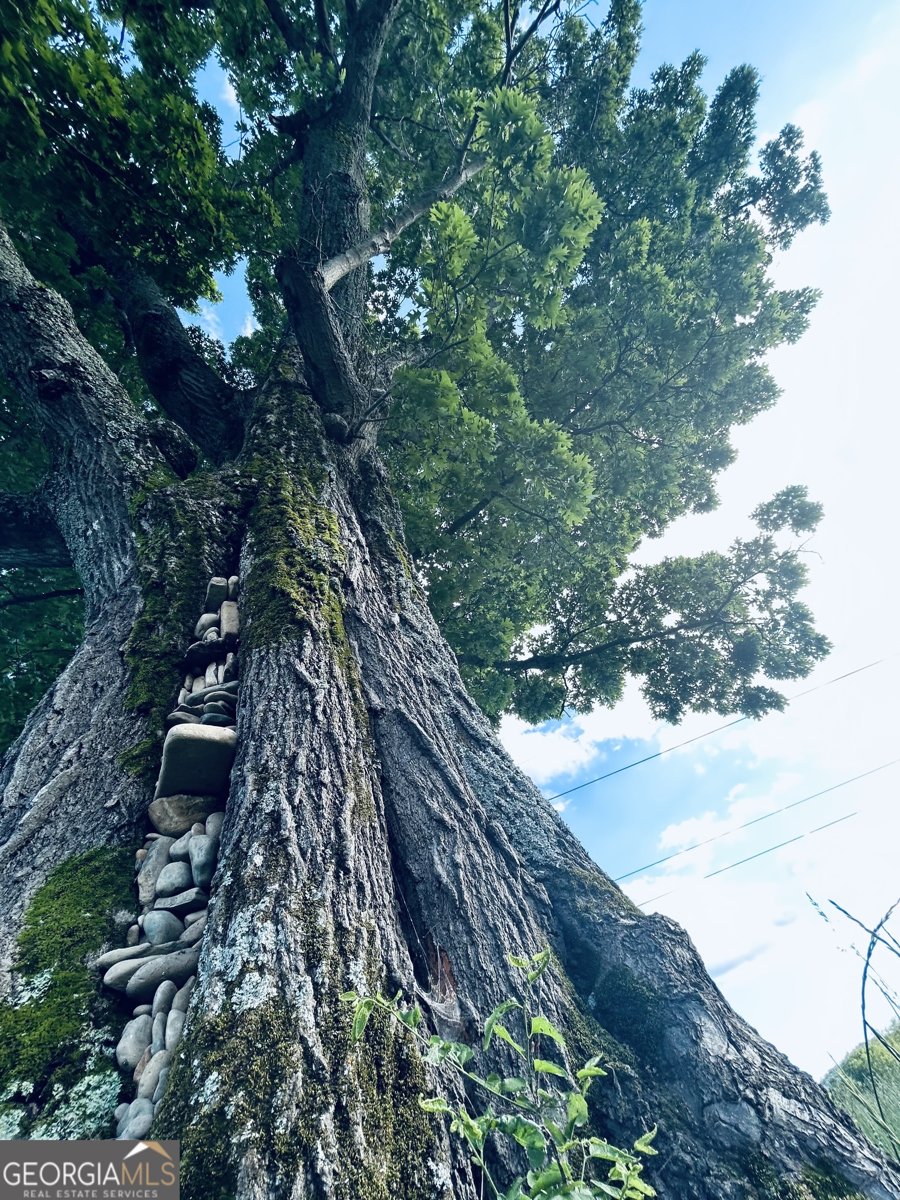 1654 A Ward Mountain Road Rome - 33